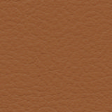 leather-br-240.jpg